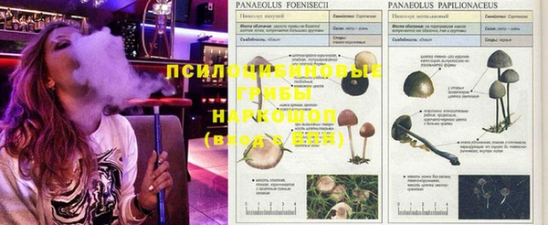 гидропоника Абдулино