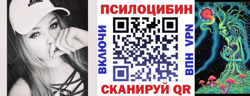 МЕГА ССЫЛКА  цена   Тимашёвск  Псилоцибиновые грибы GOLDEN TEACHER 